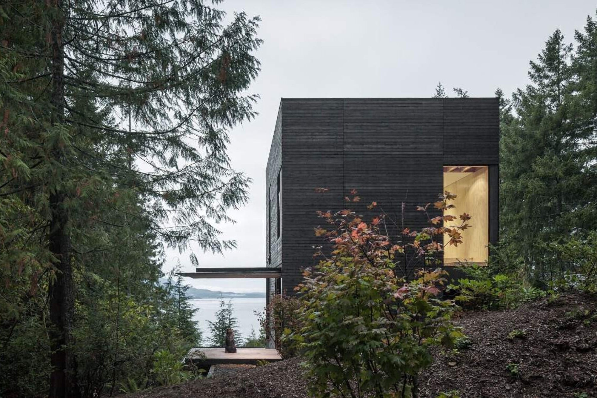 Little House By MW Works Is Perched On A Hill Overlooking Puget Sound In Washington