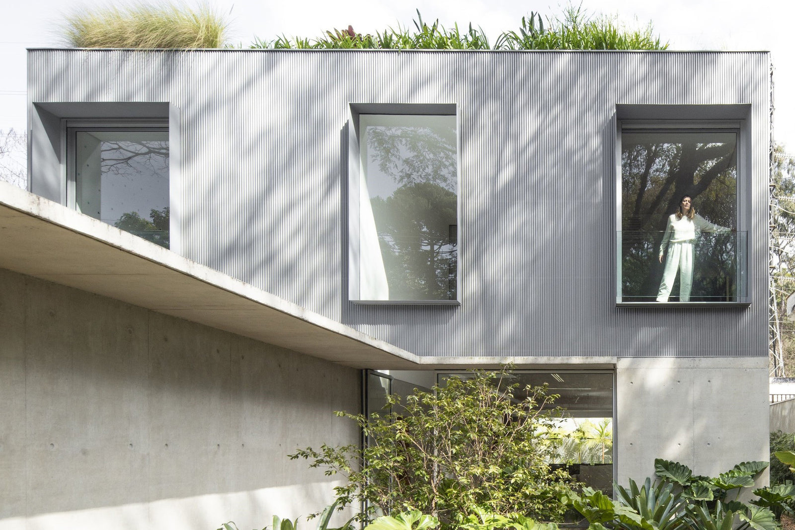 House B With A Glass Pivot Door Unites The Home And The Garden.