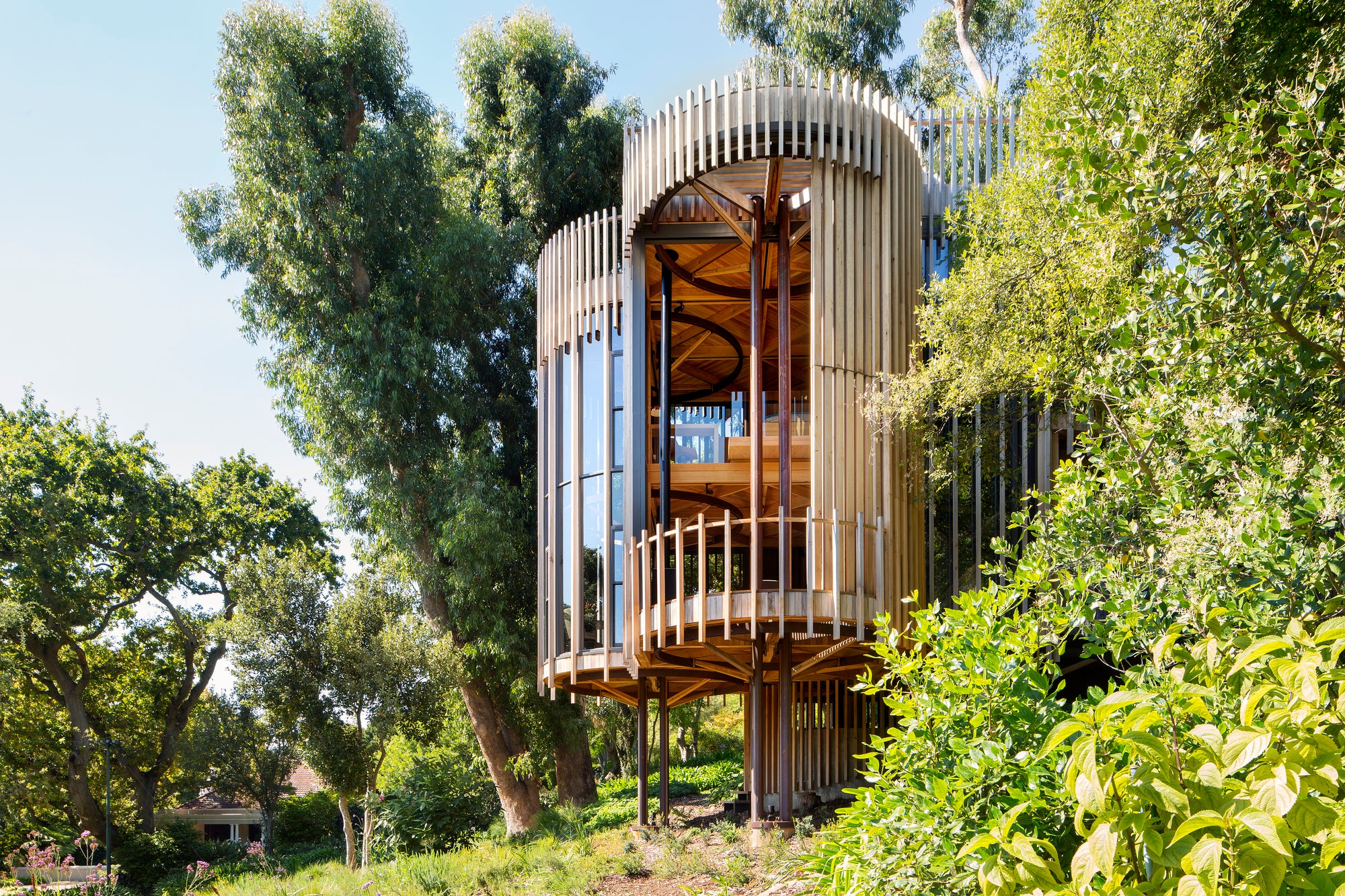 Unusual Modern Treehouse Nestled Among The Trees Offer View Of Cape Town
