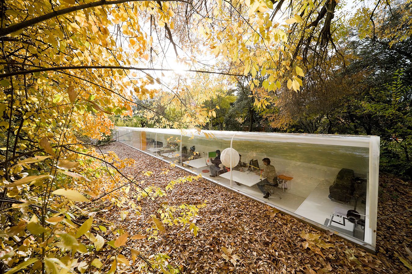 Studio In The Woods In Madrid By SelgasCano