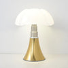 Dreizl Vintage Desk Lamp