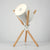 Staiv Table Lamp
