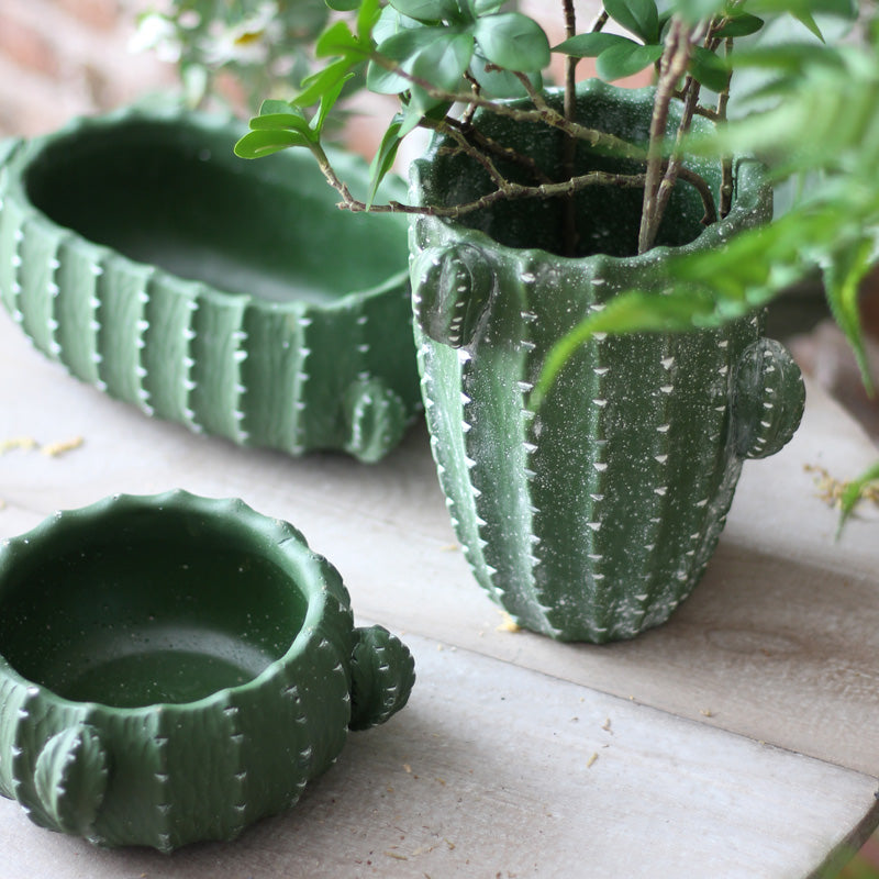 Cacti Vogue Planter | Creative Cactus Succulent Planter | Concrete  Collections | Green Plants Flower Pot | Cement Earthenware| Ceramic | Home  Decor