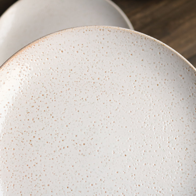 Janssen Crater Dinner Plate