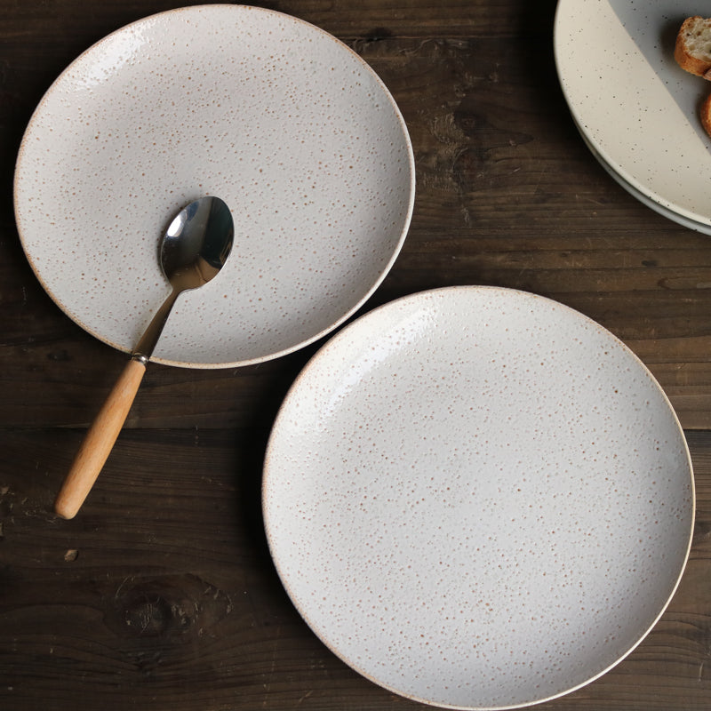 Janssen Crater Dinner Plate