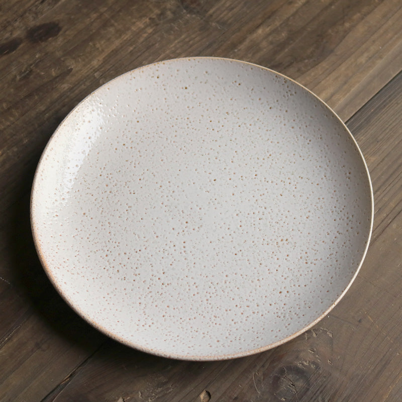 Janssen Crater Dinner Plate