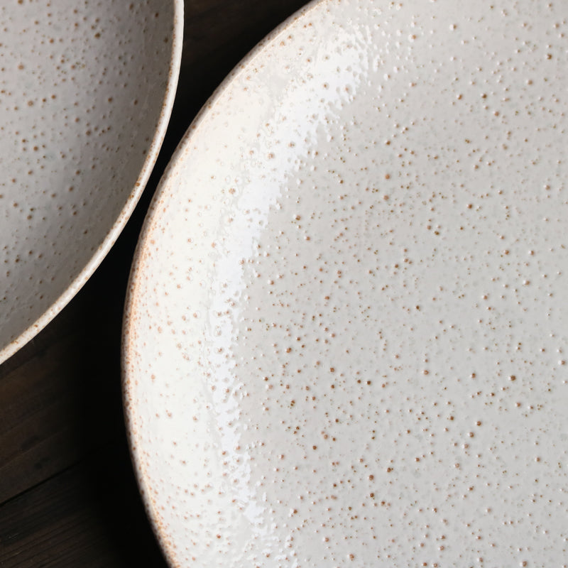 Janssen Crater Dinner Plate