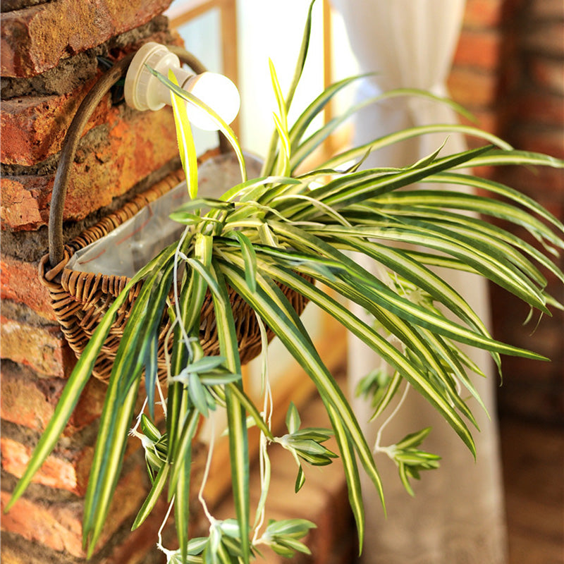 Jolla Rattan Wall Basket