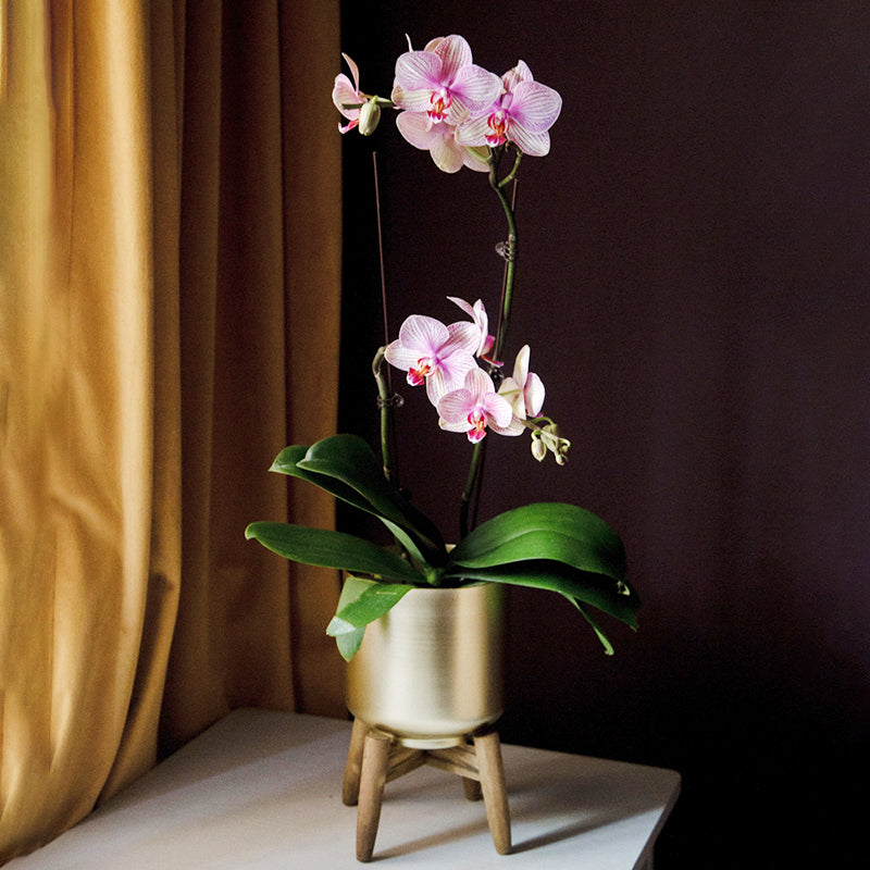 Logam Cylinder Planter With Stand