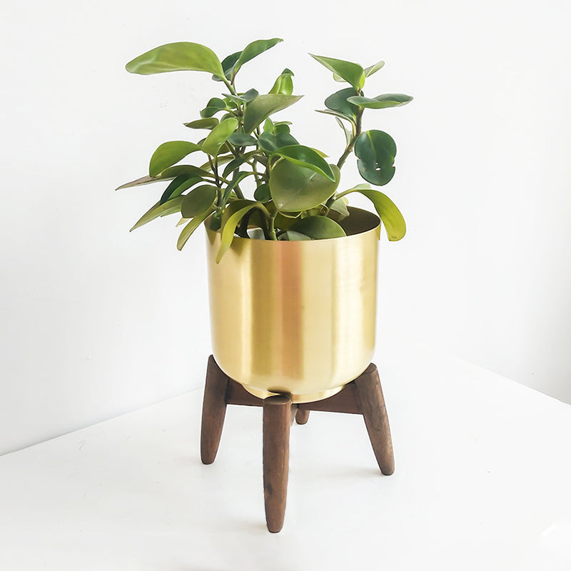 brass plant pot on stand Logam Cylinder Planter With Stand | Household Wrought Iron Flower Planter  With Wooden Stand | Minimalist Metal Decor Pot