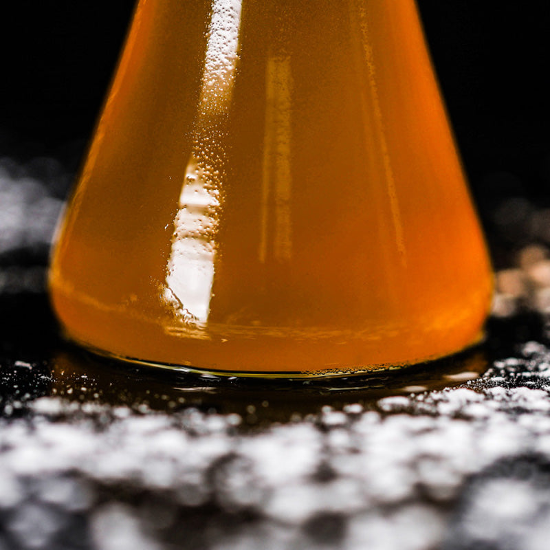 Mushroom Cocktail Glass