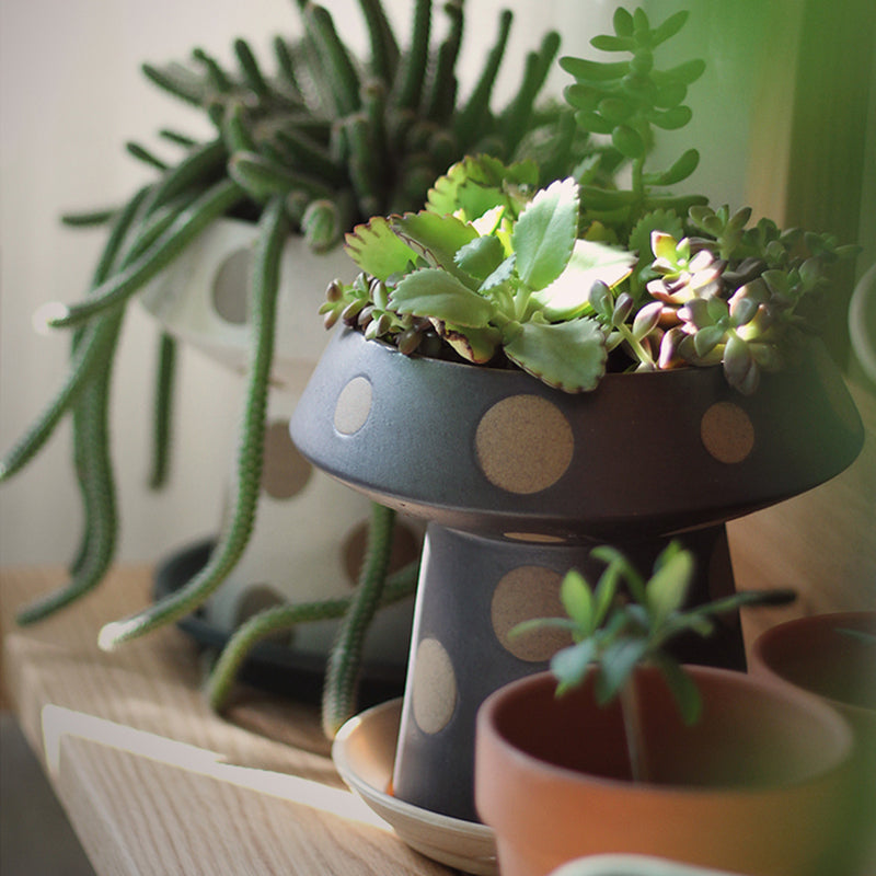 Wooken Black Planter